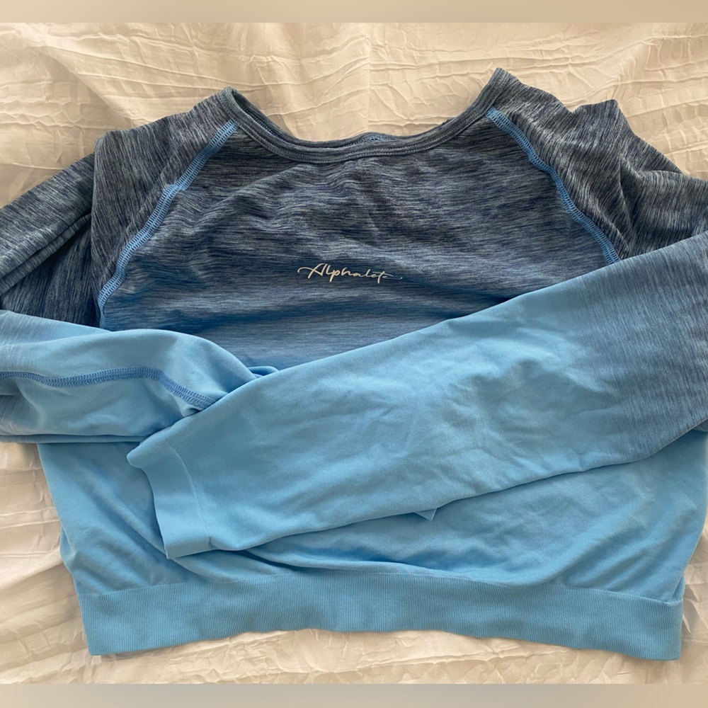 Alphalete Ombré seamless long sleeve crop